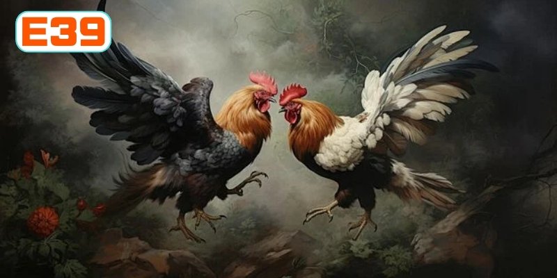 Luật riêng khi hội viên tham gia loại hình này
